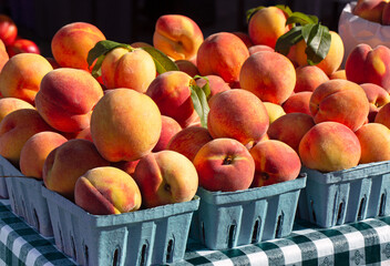 Yellow peaches in early morning light at a local farmer's market