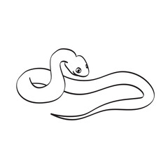 snake illustration vector hand drawn isolated on white background line art.