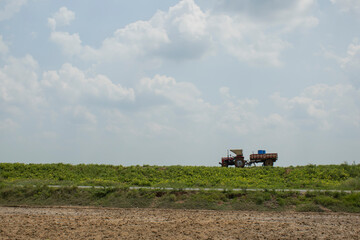 landscape with tractor in Black gram cultivating land