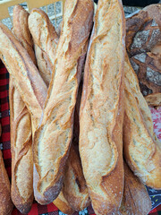 Traditional French baguettes
