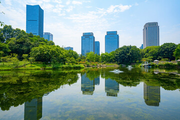 Fototapeta premium Beautiful Wetland Park and urban skyline in Chongqing, China
