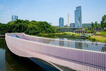 Beautiful Wetland Park and urban skyline in Chongqing, China