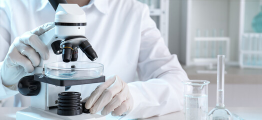 Fototapeta premium Scientist using microscope in laboratory