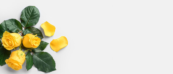 Beautiful yellow roses on light background with space for text