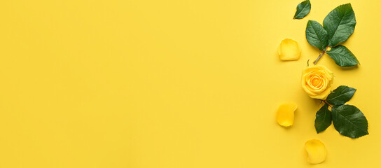 Composition with beautiful rose on yellow background with space for text