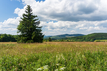 Fototapeta na wymiar Das Naturschutzgebiet Lange Rhön in der Kernzone des Biosphärenreservat Rhön, Hessen, Bayern, Deutschland