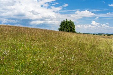 Fototapeta premium Das Naturschutzgebiet Lange Rhön in der Kernzone des Biosphärenreservat Rhön, Hessen, Bayern, Deutschland