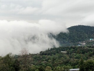 Mist in morning and green trees on mountain at Doi Chang, Chiang Rai, Thailand.