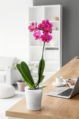 Beautiful orchid flower on table with modern laptop