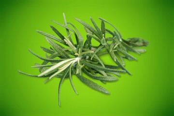 Rosemary twig set. Green herbs on the desk