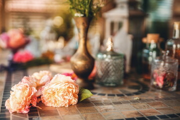 rose flower and essential oil. Spa and aromatherapy.