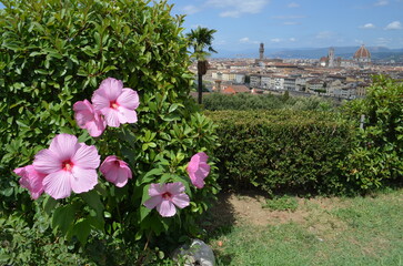 Fototapeta premium Florence in the garden