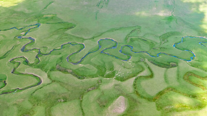 Highlands pastures and creeks in Black Sea Mountains, Turkey. 