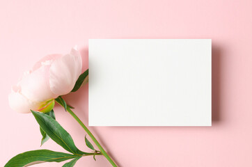 Blank greeting card mockup with pink peony flowers