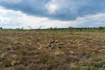 NSG &bdquo;Schwarzes Moor", Biosph&auml;renreservat Rh&ouml;n, Unterfranken, Franken, Bayern, Deutschland