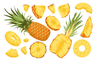 Wide set of pineapple fruit. Whole prickly pineapple, half and round slices of pineapple, citrus vitamin food, natural juicy product, exotic dessert, peeled pineapple vector illustration