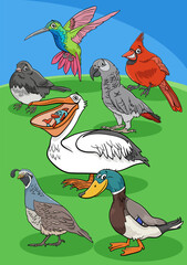 cartoon birds animal characters group