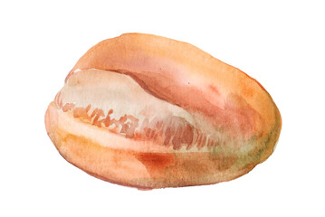 Hand drawn watercolor loaf of bread illustration isolated on white background. Realistic food illustration.