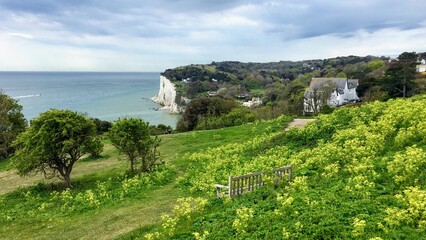 White cliffs