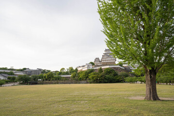 Fototapeta na wymiar 姫路城手前の公園から天守閣を眺める