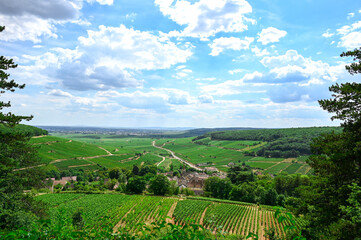 Fototapeta na wymiar old village in the vineyards