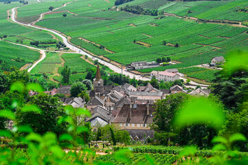 Fototapeta na wymiar old village in the vineyards