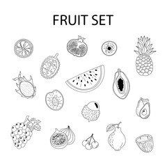 Fruit set. Hand-drawn tropical fruits on a white background. Mangosteen, papaya, dragon fruit and others.