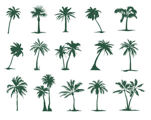 A set of silhouettes of Palm trees. Tropical palm tree silhouette for your art