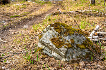 South Ural forest road with a unique landscape, vegetation and diversity of nature.