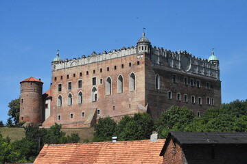 Zamek na tle dachu z czerwonej dachówki, Polska