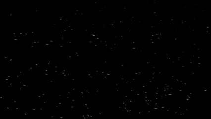 Falling leaves on black - effect for your forest arts, isolated - object 3D illustration