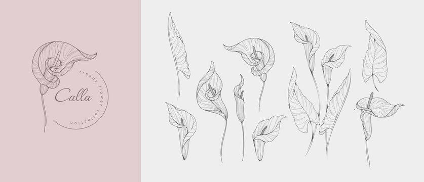Set of luxury flowers and logo. Trendy botanical elements. Hand drawn line leaves branches and blooming. Wedding elegant wildflowers for invitation save the date card. Vector