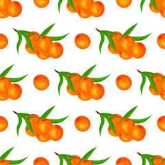 Beautiful seamless pattern with sea buckthorn berries. Vector illustration. Template for the design.