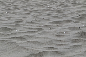 sand of a beach