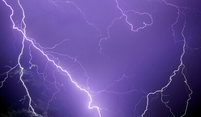 Fork lightning striking down during summer storm
