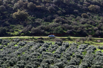 Fototapeta premium Natural landscape in northern Israel.