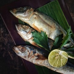 fresh fish on a plate