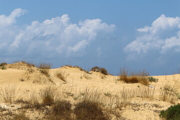Natural landscape in northern Israel.