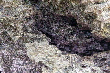 rocks near the beach with a great variety of veins of different colors and minerals, live and natural colored rocks