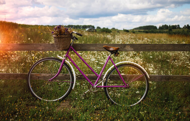 Fototapeta na wymiar Vintage bicycle with a basket full of flowers standing in a field