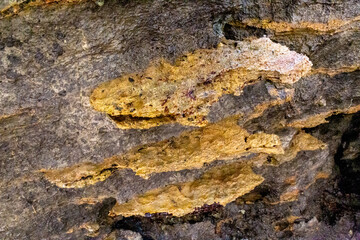 rocks near the beach with a great variety of veins of different colors and minerals, live and natural colored rocks