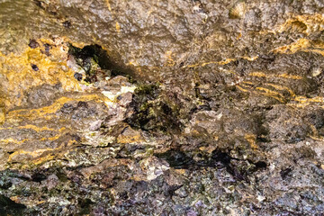 rocks near the beach with a great variety of veins of different colors and minerals, live and natural colored rocks