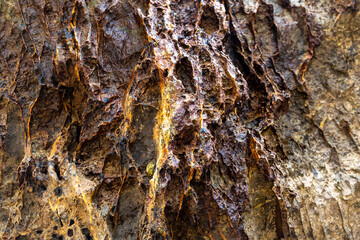 rocks near the beach with a great variety of veins of different colors and minerals, live and natural colored rocks