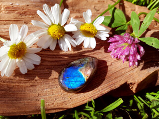 Labradorite mineral stone with flowers on a wooden background, gemstone for healing, meditation,...