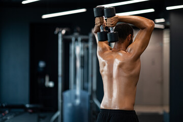 Shirtless Muscular Black Man Training With Two Dumbbells At Gym, Rear View - obrazy, fototapety, plakaty