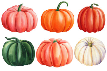 Pumpkins set on isolated white background, fall harvest. watercolor illustration, hand drawing,