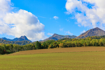 Naklejka premium 青空と芦別岳「秋の北海道」