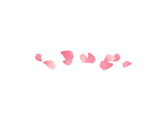 Sakura Pink flying petals isolated on White background. Watercolor petals. Cherry blossom. Vector