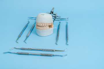 The Tooth model with dental tools on blue background for dental content. Dental concept