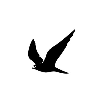 vector falcon eagle flat logo for suggestion